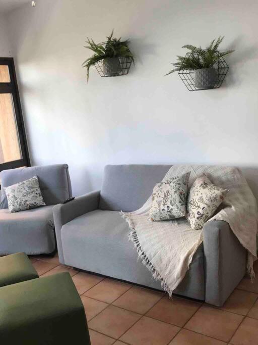 Ferienwohnung Apto Executivo Prox Hospitais E Shopping Ribeirão Preto Exterior foto